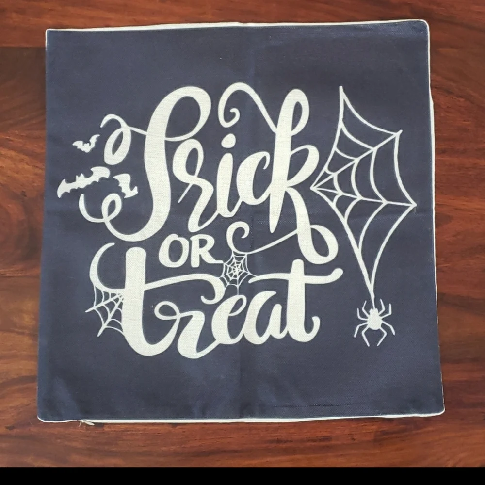 Halloween Pillow Cover • Black  & Ivory Spider Web Trick or Treat • 18 X 18